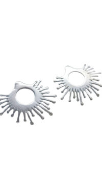 Drosera Sol de Rocio