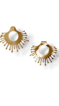 Drosera Sol de Rocio oro